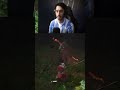 Black Myth Wukong cap 2  - Guangzhi | #ricarklim de #Twitch