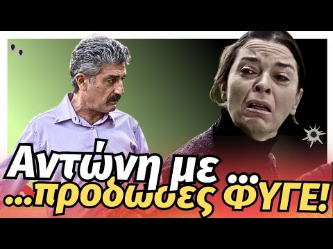 Σασμός - Αντώνη