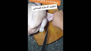 how to gut a chicken | تنظيف الدجاج للمبتدئين