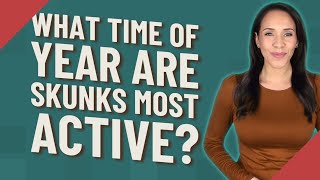 What time of year are skunks most active?