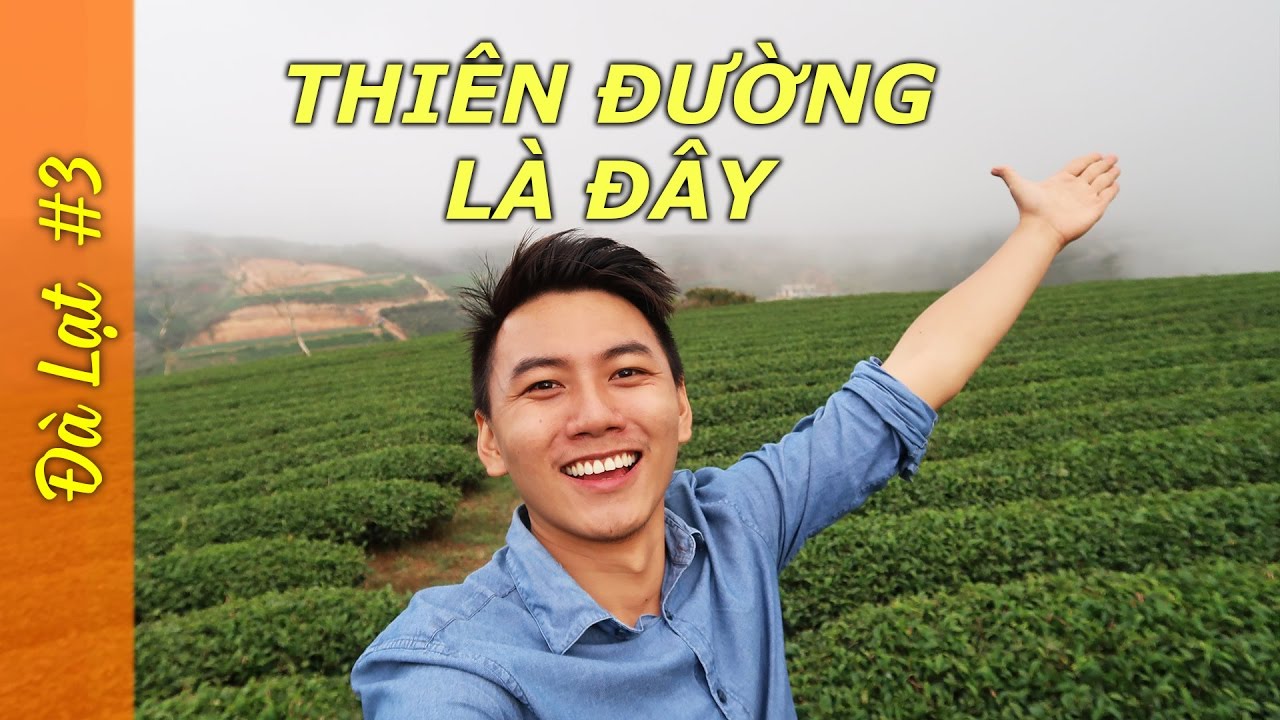 ⁣Đà Lạt VLOG#3 SĂN MÂY GIỮA BỒNG LAI TIÊN CẢNH, có một Đà Lạt rất khác