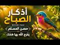                                                                  حالتي