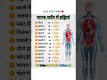 मानव शरीर में हड्डियां #shorts #wpbysunnysir #viral #shortvideo