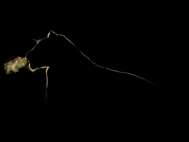 Kora & Adrien - Nuit D' Afrique ( Original Mix ) -