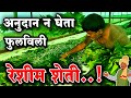 अनुदान न घेता फुलविली रेशीम शेती | एकरी चार लाख उत्पन्न | Reshim Sheti Udyog Mahiti | Shivar News 24
