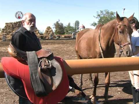 Video: Ինչպես հեծնել ձին