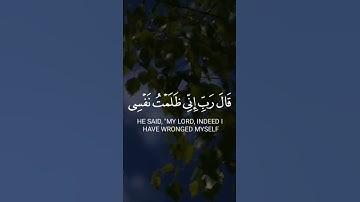 تلاوة مريحة