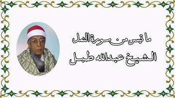 سورة النمل - الشيخ عبدالله طبل رحمه الله