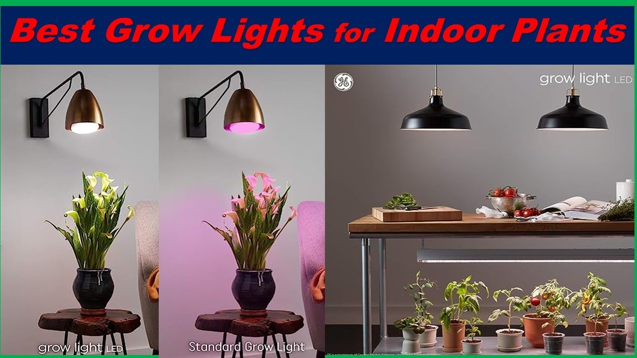 Top 5 : Best Grow Lights for Indoor Plants In 2023 |Grow Lights for ...