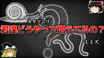 ゆっくり解説 10分でわかる対魔忍の歴史 感度3000倍など名言の数々 Mp3