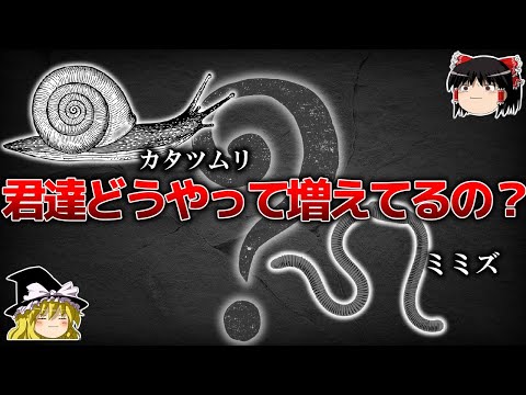 【ゆっくり解説】実はカオスな増え方をする生物６選