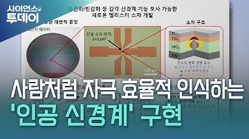 사람처럼 자극 효율적으로 반응하는 