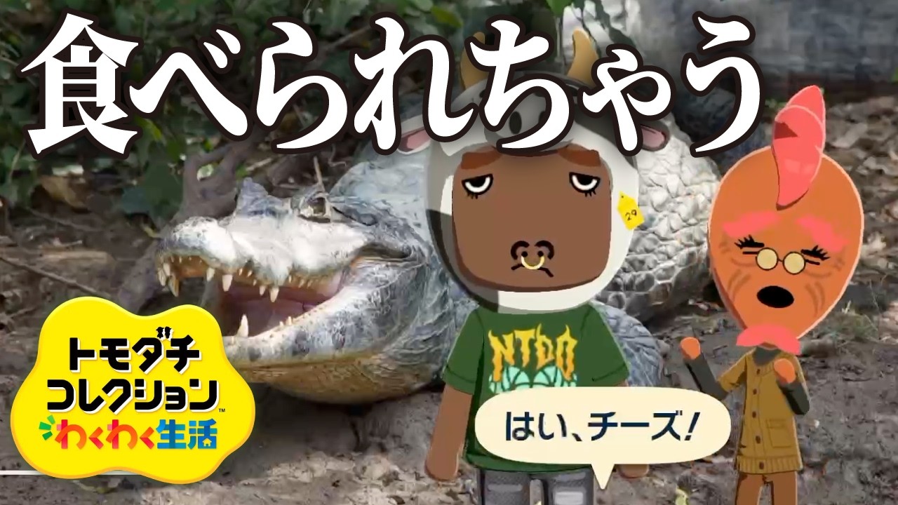 【切り抜きまとめ #7】目指せ!三ツ星ミシュランド【トモダチコレクション わくわく生活】