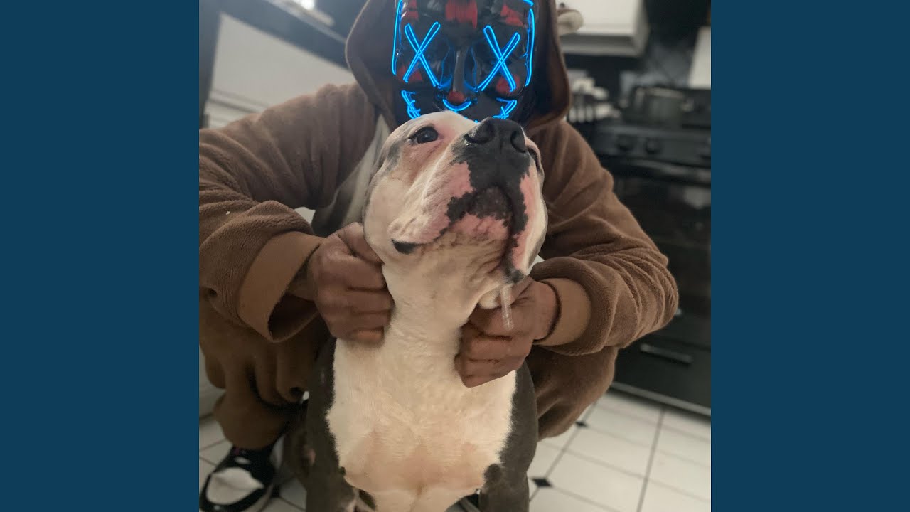 YouTube पर Nowhere Else To Go देखें