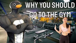 Why You Should Go To The Gym