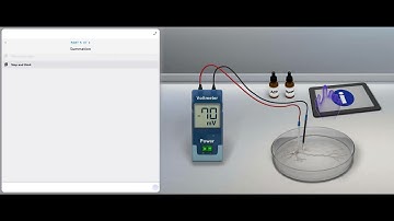 Pearson Interactive Labs for A&P | Action Potential Initiation