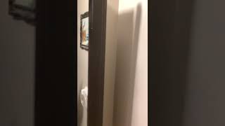 CRAZY BATHROOM MIRROR TRICK 100% WORKING #shorts