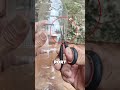 Easy Gardening Tips 💡 #entertainment #shorts