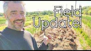 Whats happening at the field!?