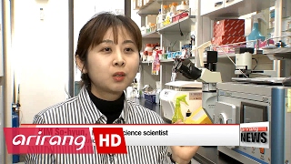 Researchers develop MRI software, cell reconstruction to study human brain