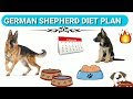 German Shepherd Diet Plan | In Hindi | German shepherd chart