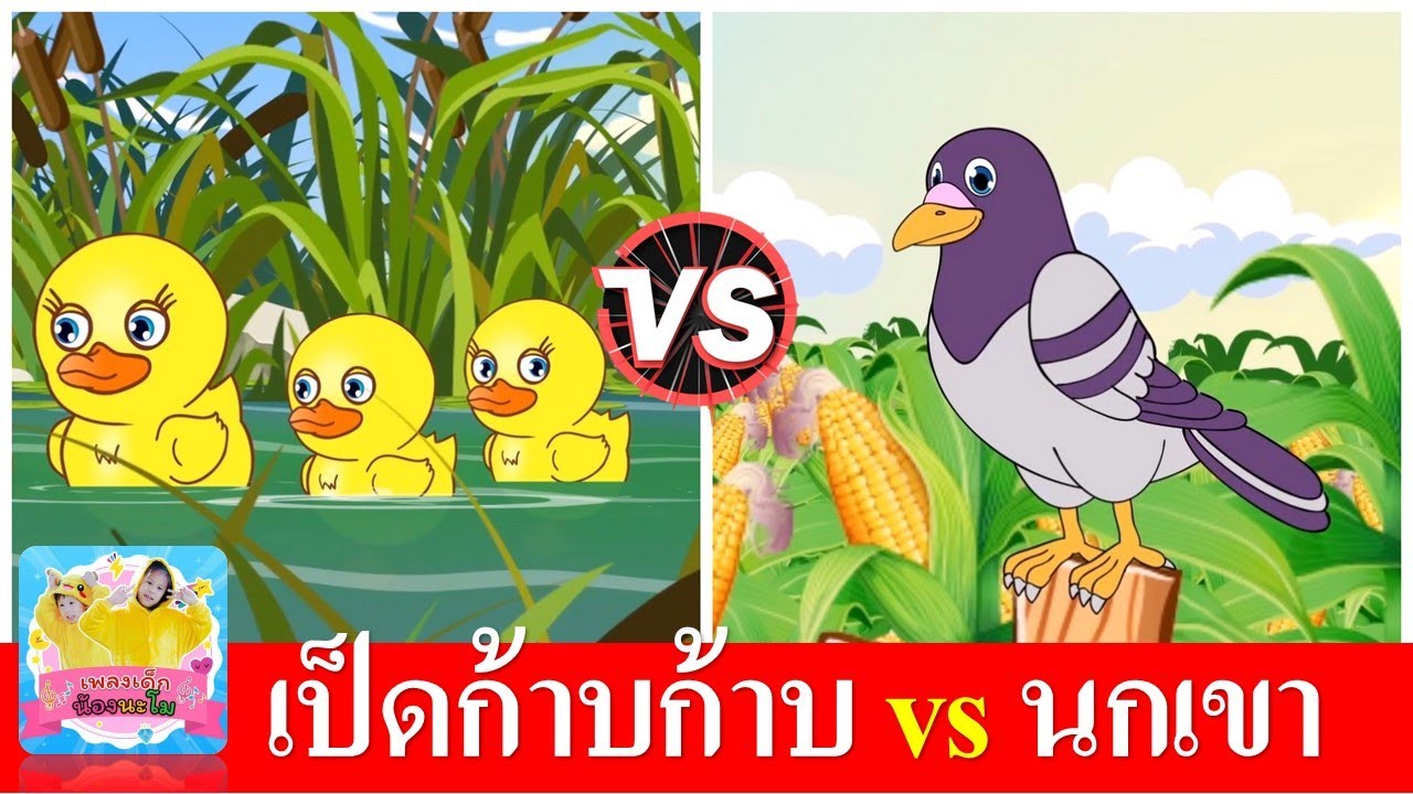เป็ดก้าบก้าบ vs นกเขา