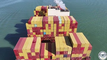 MSC Perle on the Western Scheldt near Vlissingen
