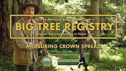 How to measure and enter trees into a Big Tree Registry - Measuring Crown Spread