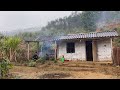 Growing cassava, Farm life, Living with nature