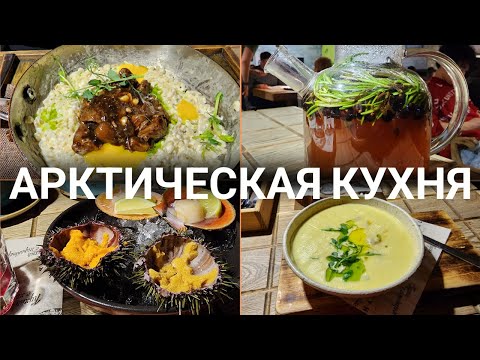 Арктическая кухня. Мурманск 2023!!!