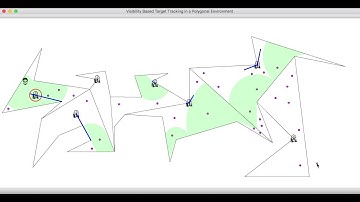 Visibility Based Target Tracking in a Polygonal Environment