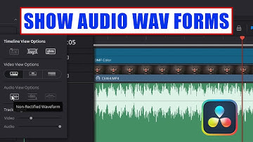 DaVinci Resolve Show Missing Wave Forms on Audio Tracks [ Tutorial ]