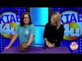 Thunder the tabby ready for adoption at Taylor Jones Humane Society
