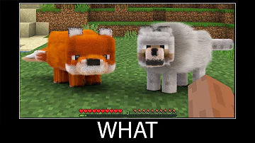 Minecraft wait what meme part 149 realistic minecraft fox and wolf