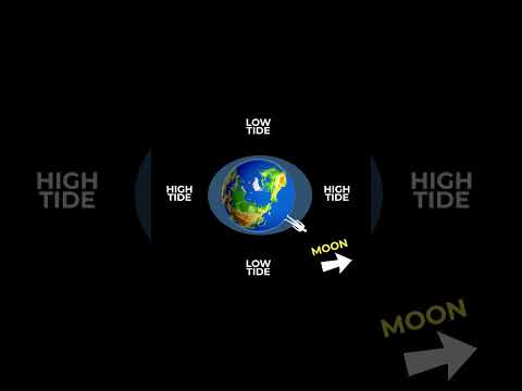 Video: Vilken typ av tidvatten inträffar när jordens sol och måne är i en rät linje?