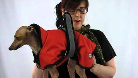 Pet Product Review - Dog Coat - DanishDesign