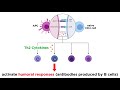 Cytokines and Immune Responses