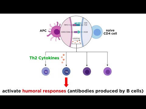 Cytokines and Chemokines