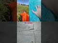 #memes #trending