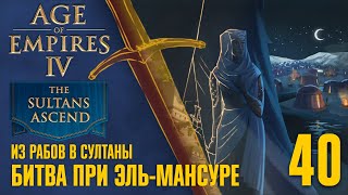 Битва при Эль-Мансуре 🏰 Прохождение Age of Empires 4 #40 [Восхождение султанов: Из рабов в султаны]