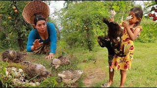 Catch a lot quail & Duck for food- Cooking quail crispy recipe & Fry duck spicy eating delicious