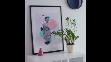 Frme shop 246 boulevard Hasbrouck Heights nj 07604