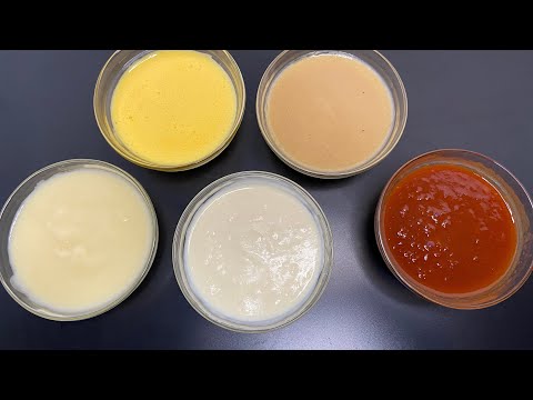 5 Mother Sauces / basic and classical cuisine