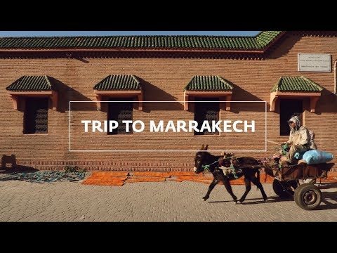 Trip to Marrakech