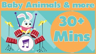 Baby Animal Songs and More! | 30  Minutes of Nursery Rhymes From Baby Genius