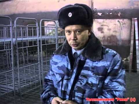 Сюжет Сюжет
