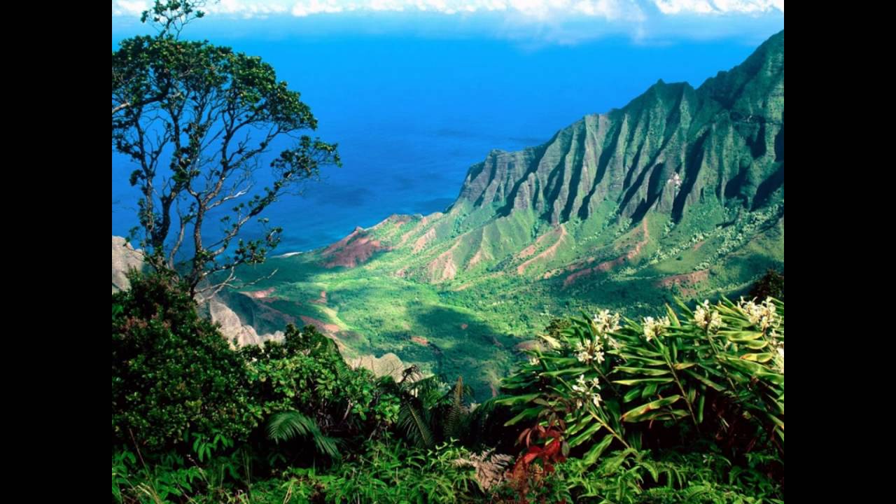 Where is the best place to stay in hawaii for honeymoon - YouTube