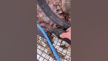 How Pools Are Professionally Deep Cleaned (Part 3-6)