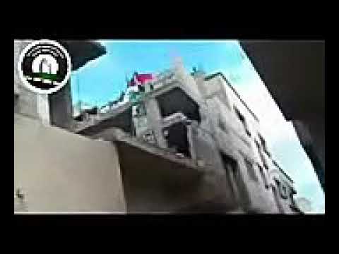 اه ياشام شو صار فيكي