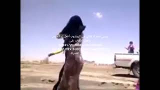 فيديو ممتع رقص بنات اليمن ورقص بنات المارت